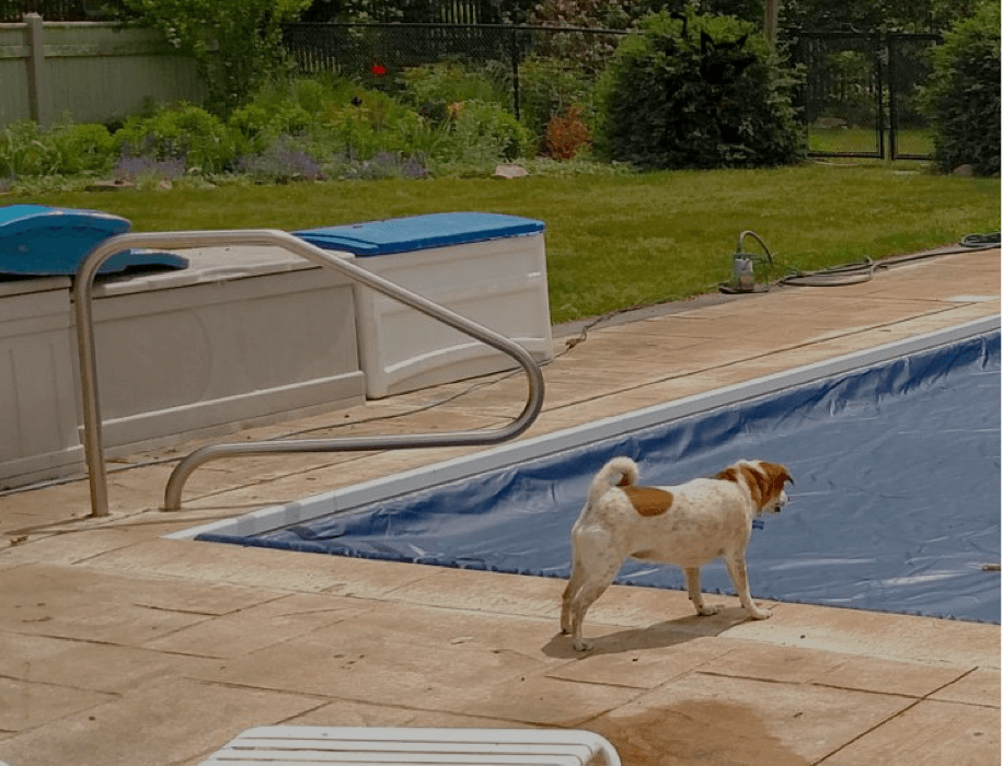 Pool Autocover Safety Benefits