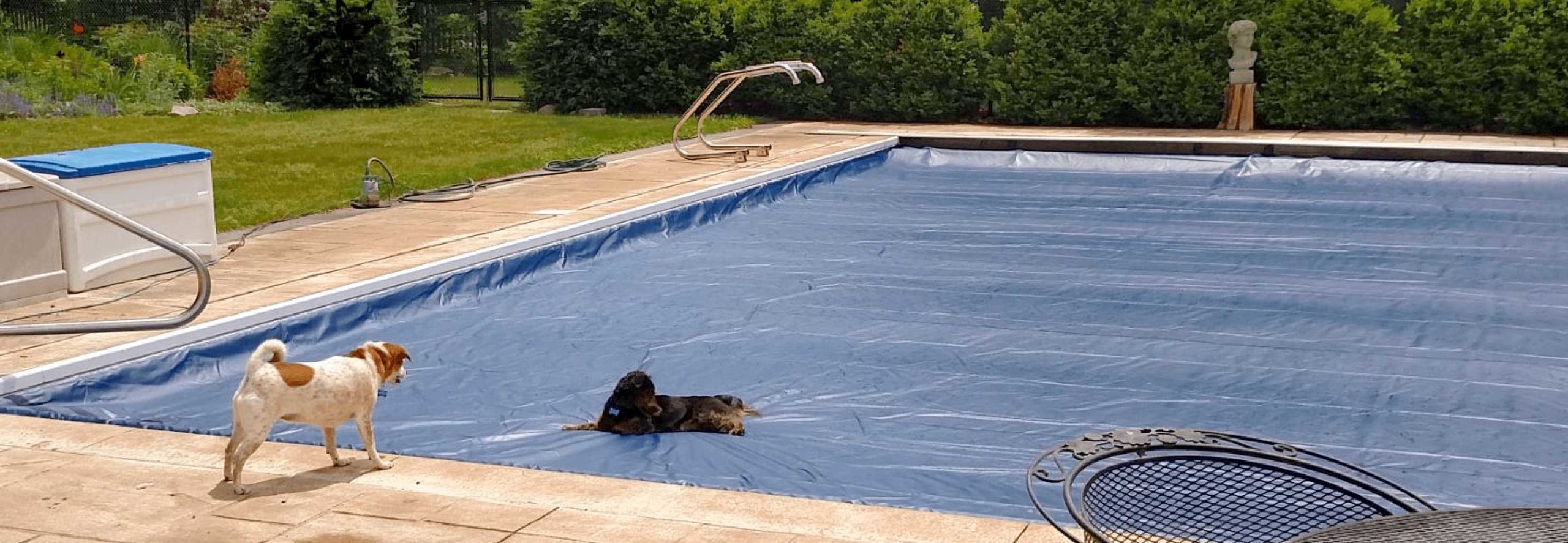 swimming pool safety cover