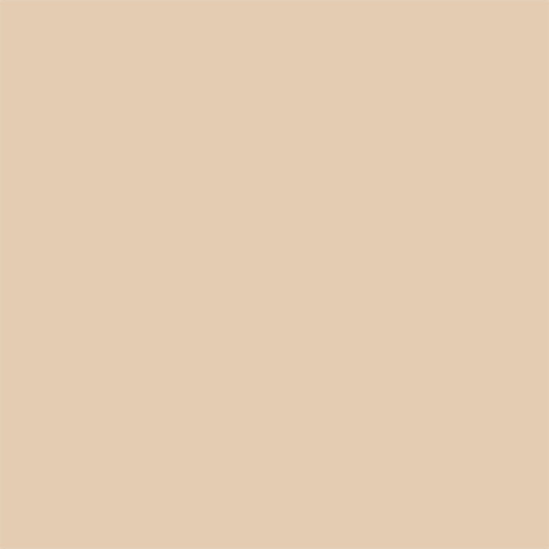 Coverstar Tan fabric swatch