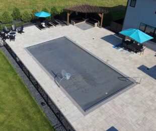 Photo courtesy of Penguin Pools, MN